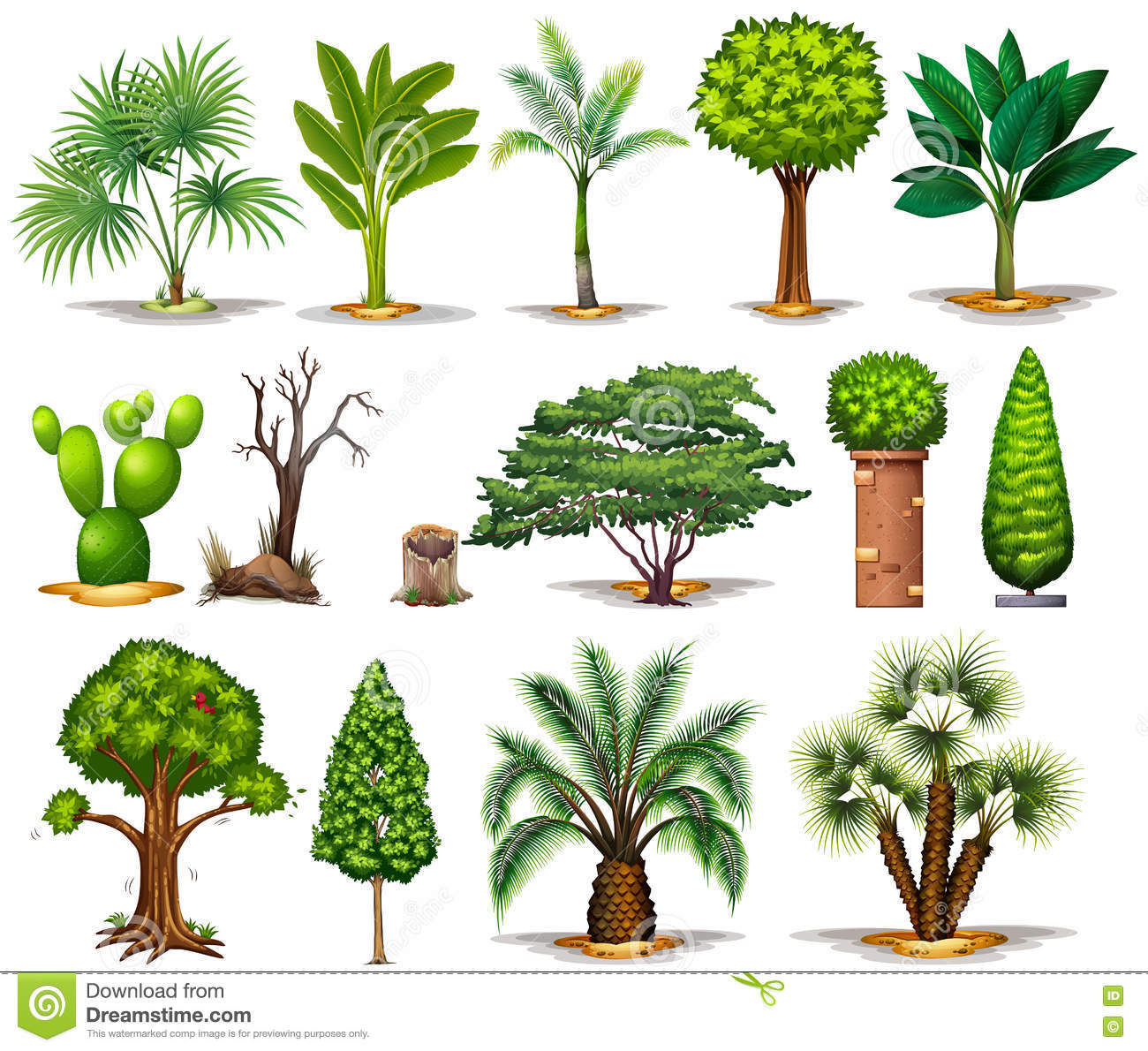 Types Of Trees